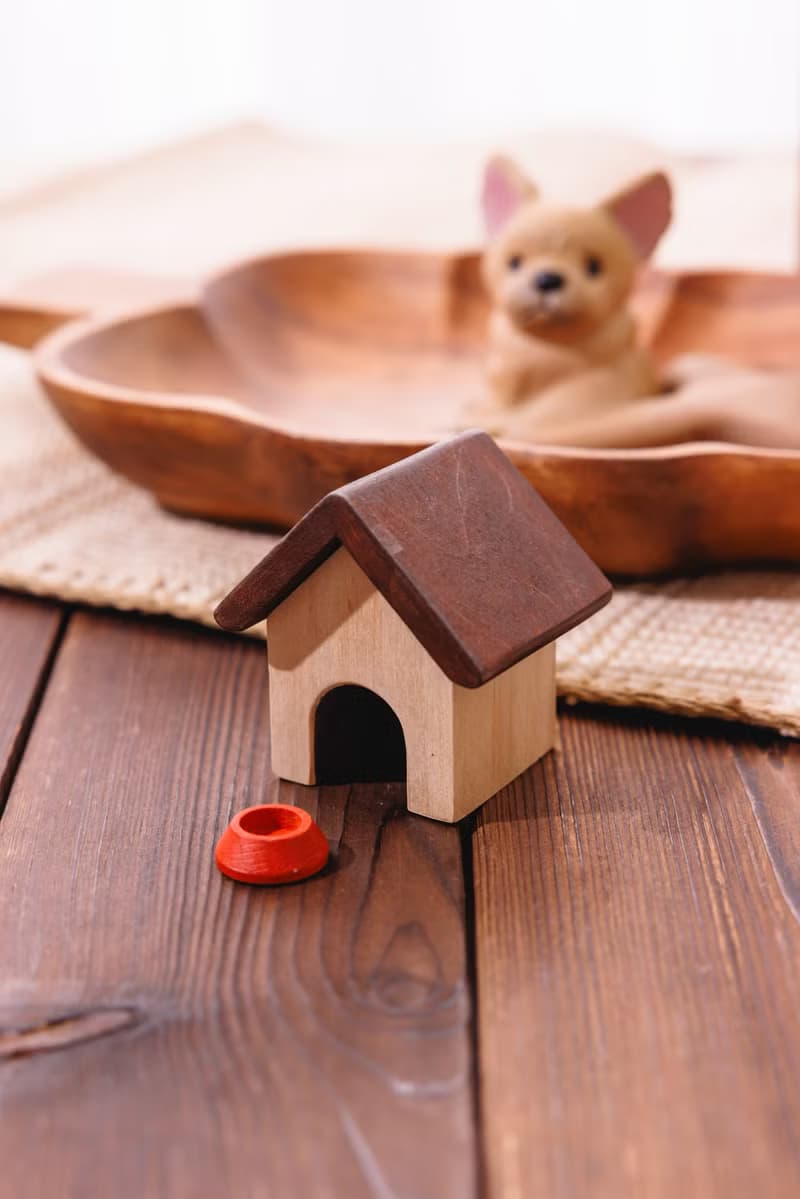 島嶼製作 寵物回憶盒