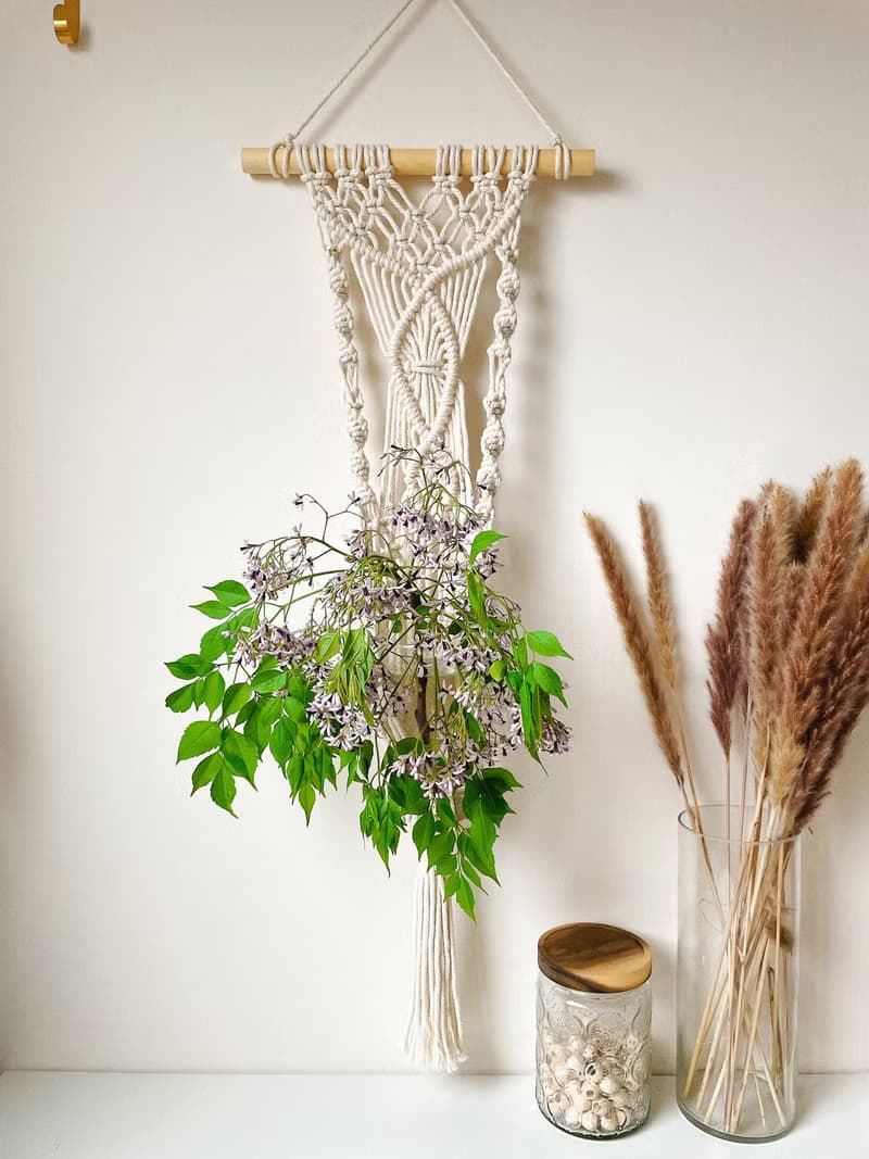 Macrame 訂製編織 植物壁掛花編結植物吊籃