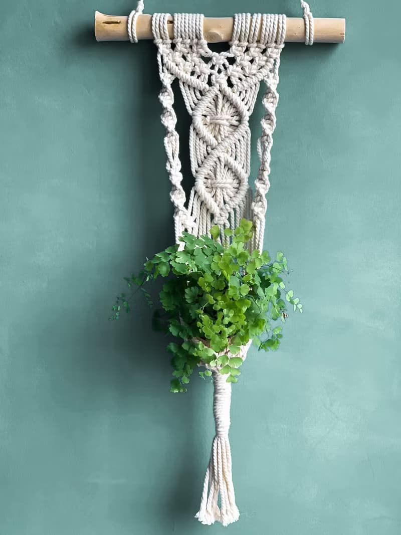 Macrame 訂製編織 植物壁掛花編結植物吊籃
