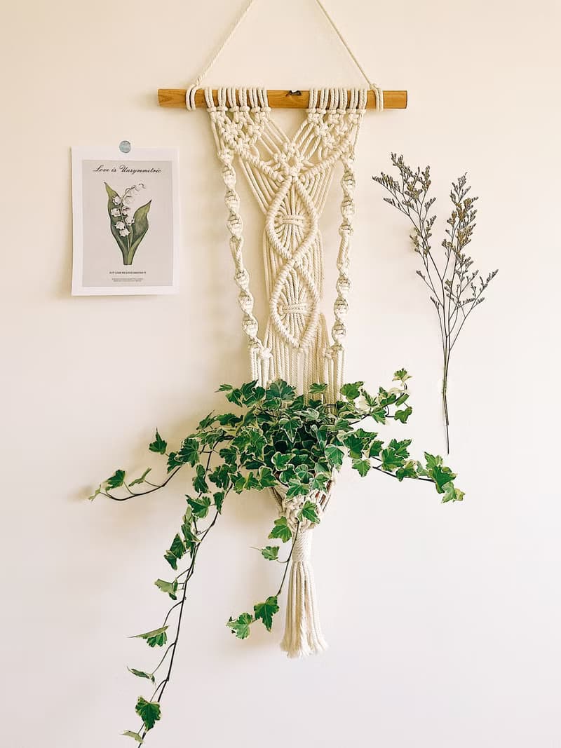 Macrame 訂製編織 植物壁掛花編結植物吊籃