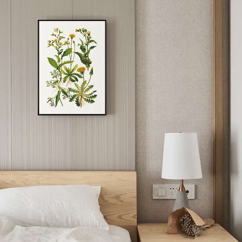 蒲公英花譜－畫/盆栽植物/臥室掛畫/家居佈置/餐廳裝飾/民宿/花