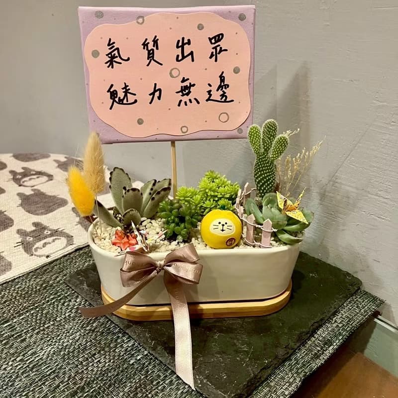 吉利 冬至柚子 貓 台中多肉組盆 多肉植物 植栽送禮 日本decole