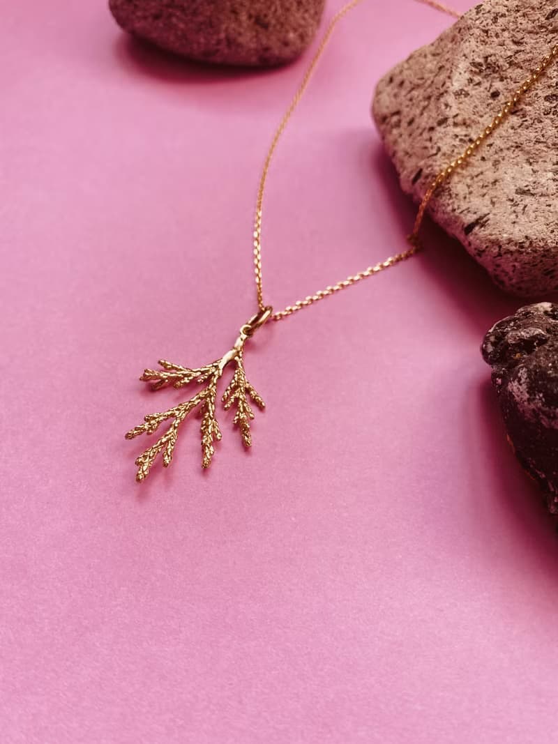 香草 Vanilla 植物項鍊