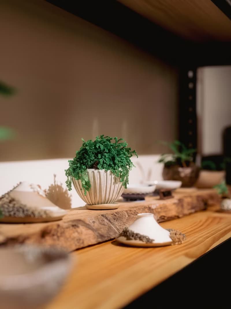 【體驗】【手作陶盤 盆栽】生活藝術小容器 × 植栽盤器 半日閑-台北新北
