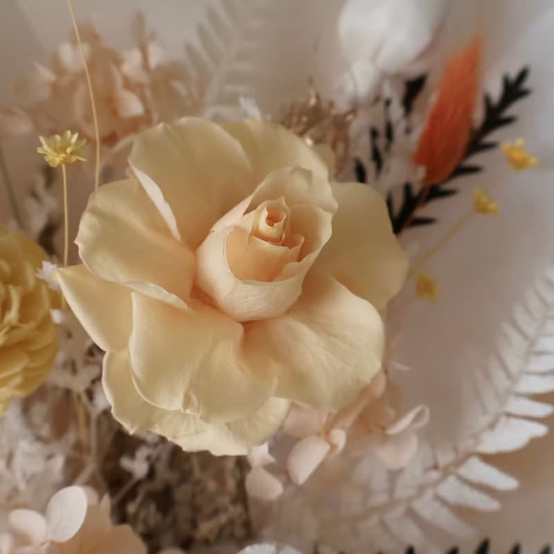 情人節玫瑰花束 陽光奶油色 擴香花束 生日 週年禮物