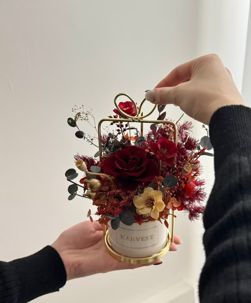 永生花盆花 酒紅色系-開幕盆花/喬遷禮/新婚禮物/入厝禮/升遷禮