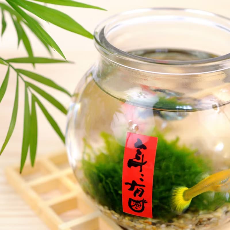 父親節禮物【獨家組合】袖珍春聯貼-三陽開泰 | 3入/組 |