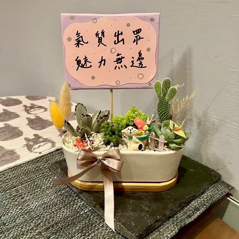 招財貓 台中多肉組盆 多肉植物 年年有餘 祝福 開幕慶祝 日式盆栽