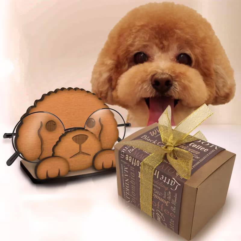 勤學貴賓眼鏡架(紅貴賓/巧克力貴賓)