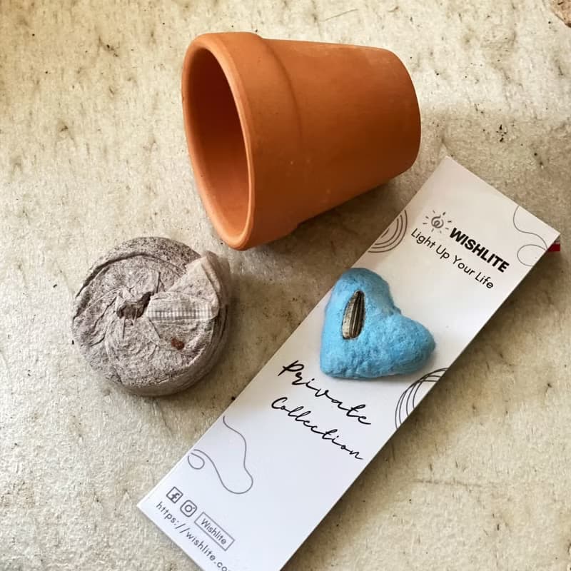 環保永續甜心種子植栽禮盒/畢業禮物/婚禮小物/生日禮物