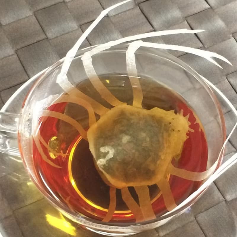 新的深海茶包　長鼻鷹嘴魚、孟買章魚、鸚鵡螺、鷹嘴蟹。