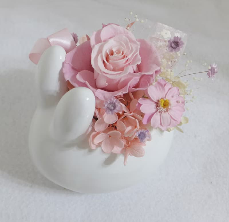 彌月戀愛兔開運盆花 求婚告白捧花外拍週年教師節生日交換禮物