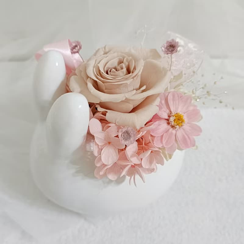 彌月戀愛兔開運盆花 求婚告白捧花外拍週年教師節生日交換禮物