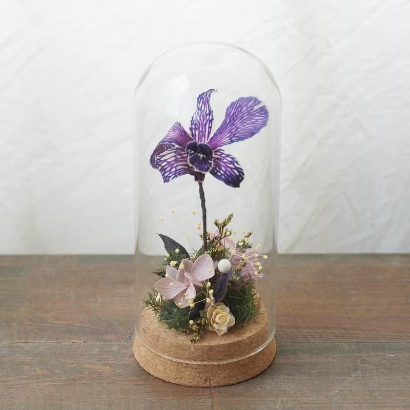 【DIY材料包】一朵祝福的蘭花玻璃座 / 附簡易說明書電子檔
