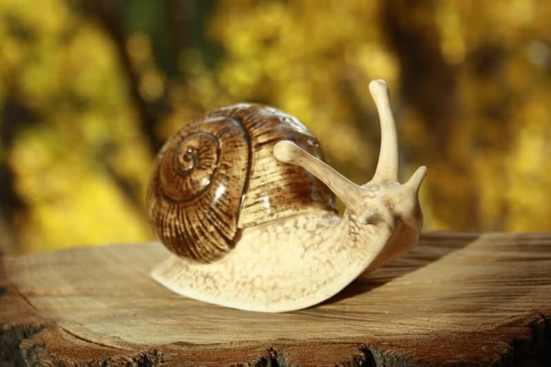 Snail porcelain figurine, statuette, statue
