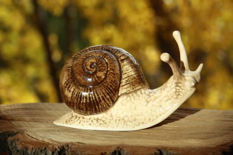 Snail porcelain figurine, statuette, statue