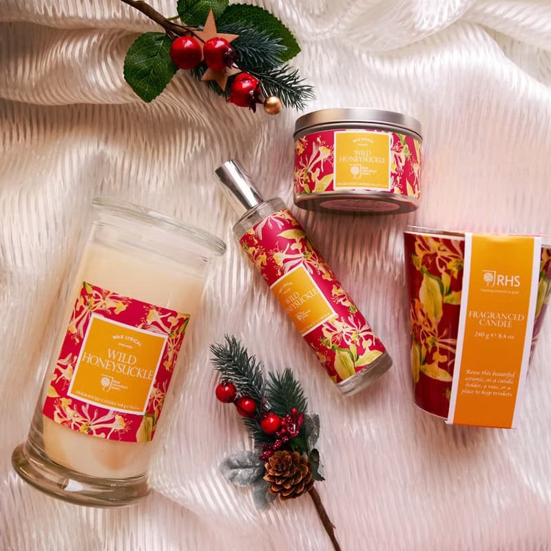 【Portmeirion】皇家園藝學院 | RHS認證 WAX LYRICAL 金銀花香氛