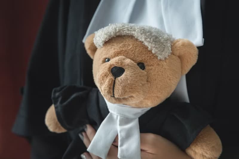 律师泰迪熊律师大壮大律师礼物法律学生法学院大学毕业法律资格