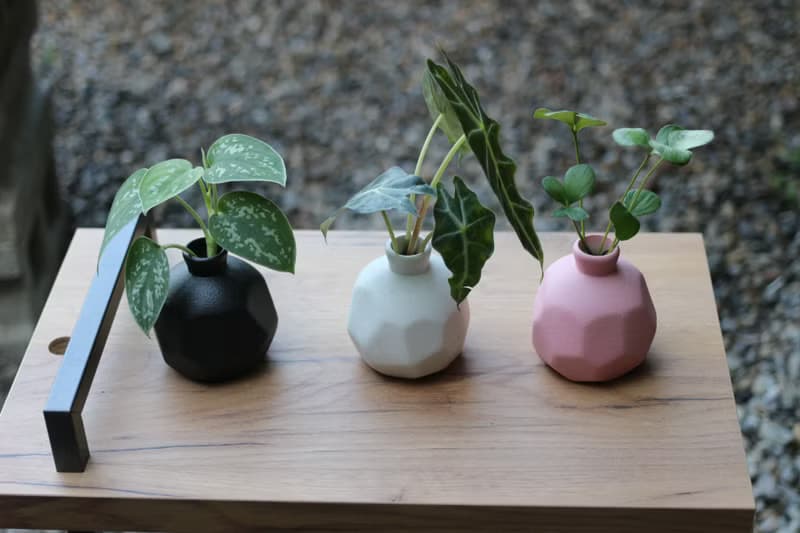 水培植栽│黑葉觀音蓮_室內植物 磨砂陶瓷幾何花瓶 白