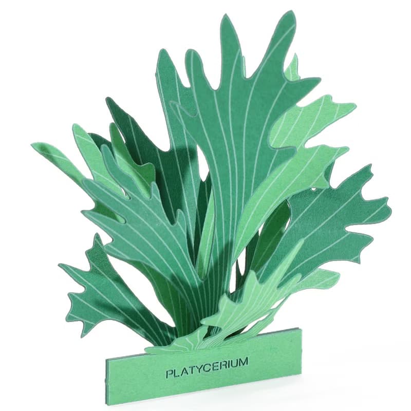 【立體植物貼紙】 鹿角蕨 (605016) FingerART紙雕紙藝術