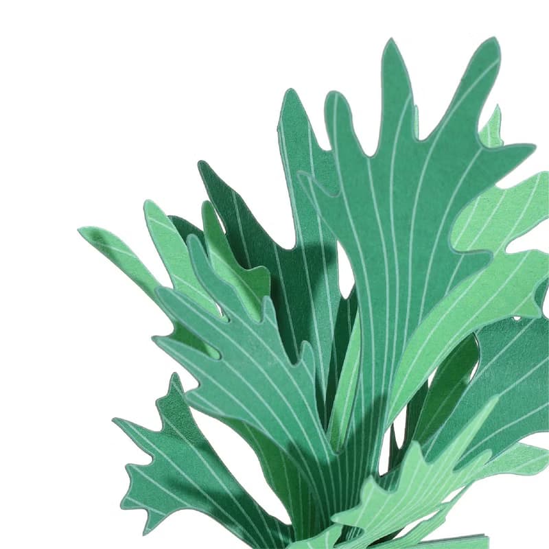 【立體植物貼紙】 鹿角蕨 (605016) FingerART紙雕紙藝術