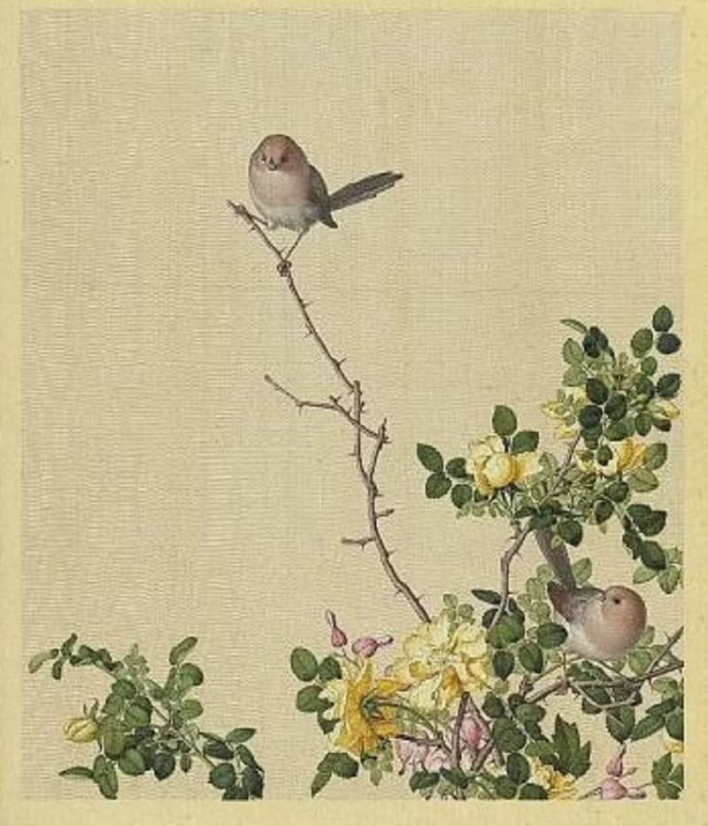 故宮授權 | 仙萼長春冊矽膠餐墊-黃刺蘼魚兒牡丹 (清 郎世寧畫仙