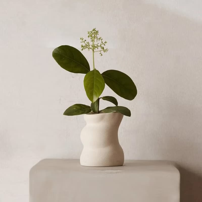 巖蘭草&無花果 Vetiver & Fig 陶瓷香氛蠟燭