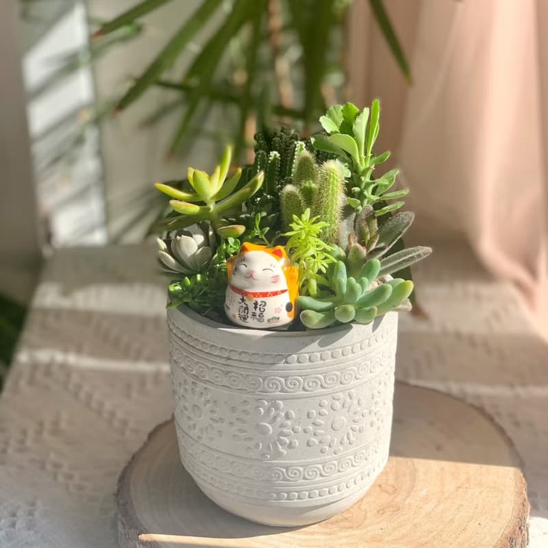 【招財首選】招財貓 水泥多肉組盆-花紋圓柱款12x11.5