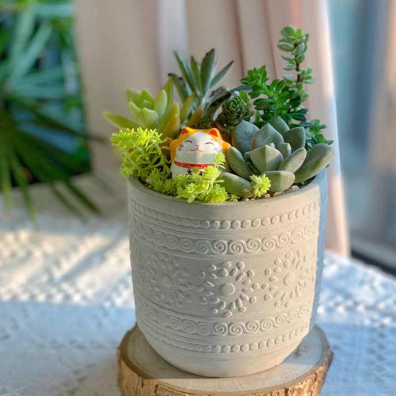 【招財首選】招財貓 水泥多肉組盆-花紋圓柱款12x11.5