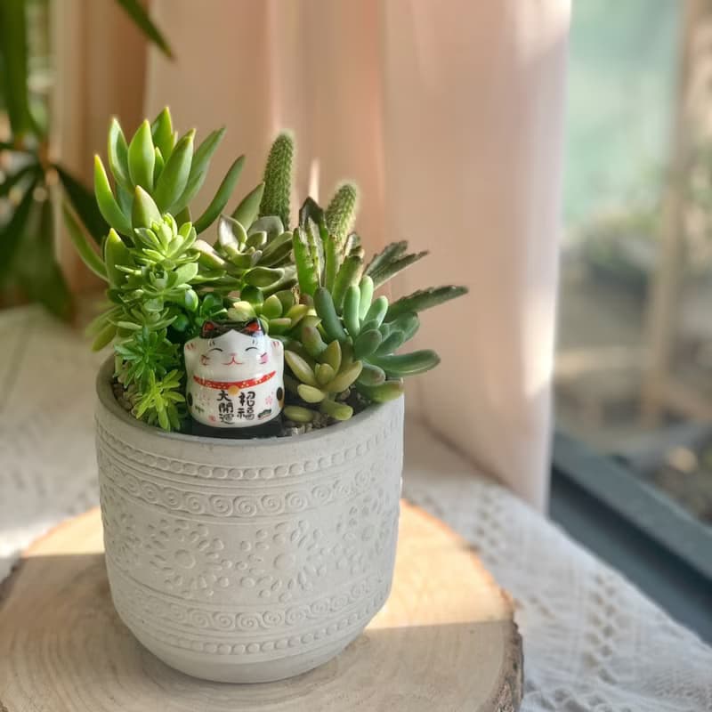 【招財首選】招財貓 水泥多肉組盆-花紋圓柱款12x11.5