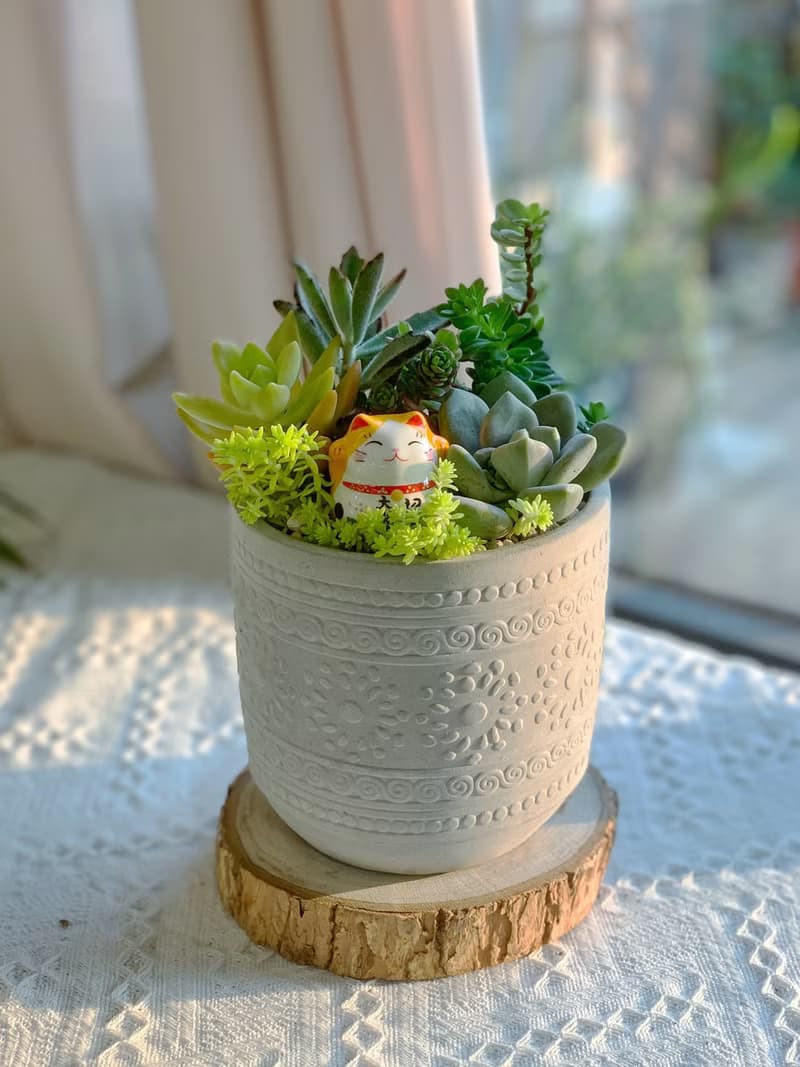 【招財首選】招財貓 水泥多肉組盆-花紋圓柱款12x11.5