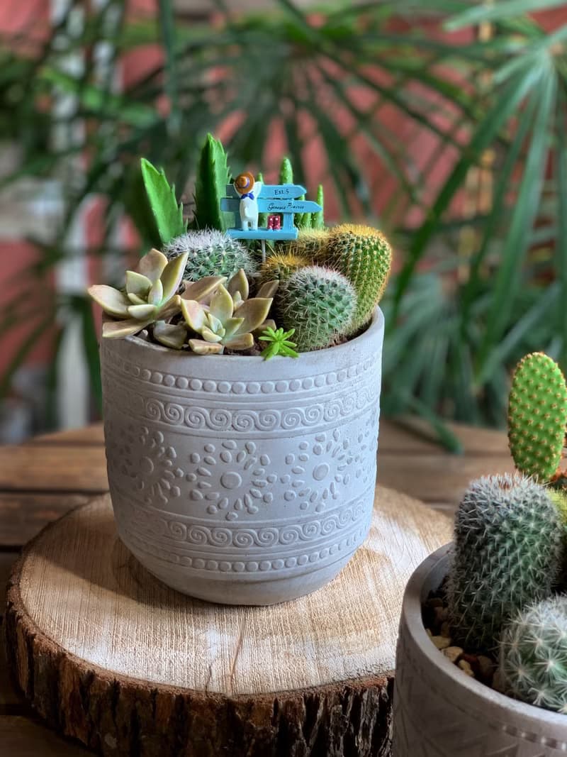 【招財首選】招財貓 水泥多肉組盆-花紋圓柱款12x11.5