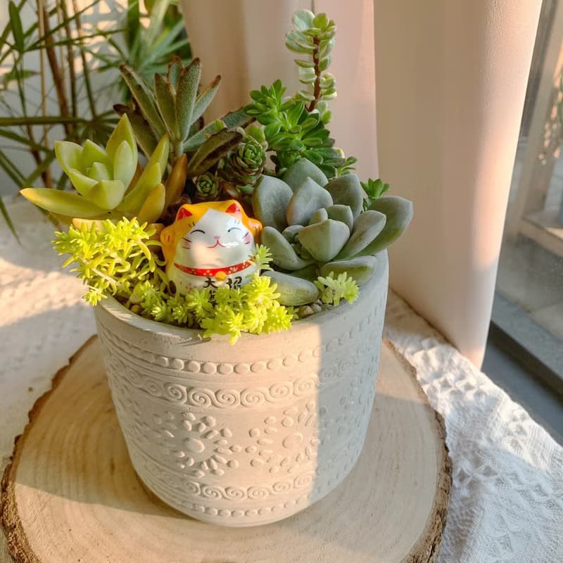 【招財首選】招財貓 水泥多肉組盆-花紋圓柱款12x11.5