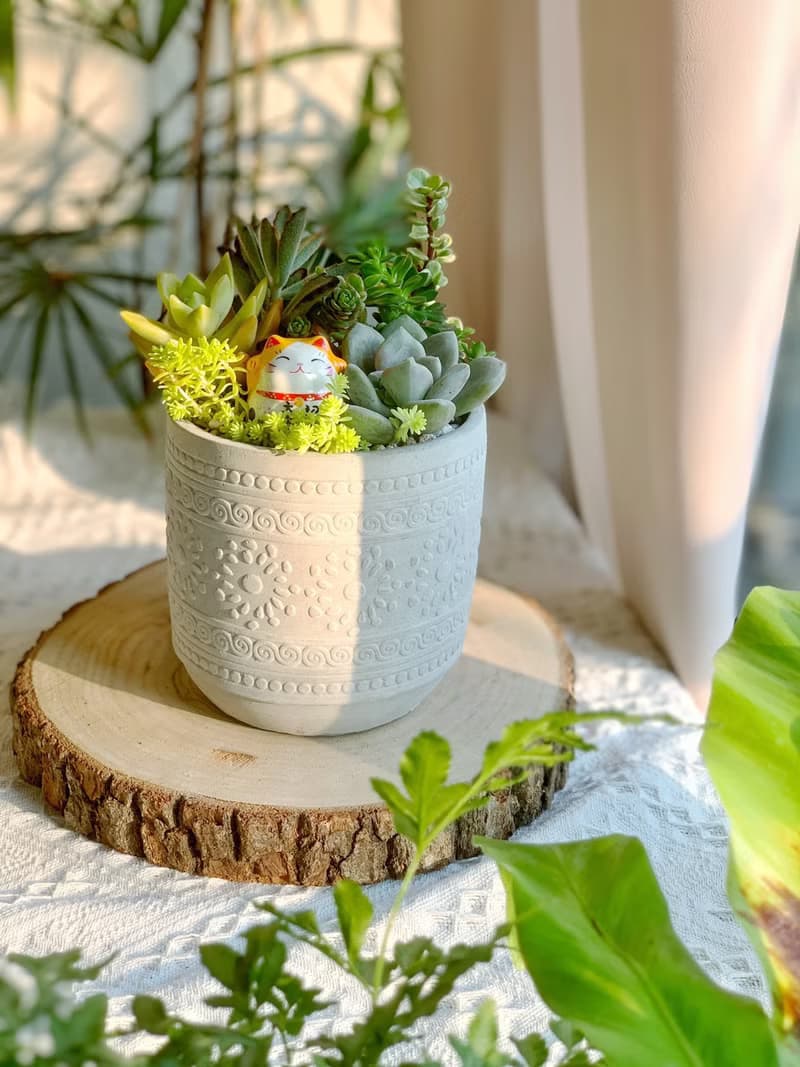 【招財首選】招財貓 水泥多肉組盆-花紋圓柱款12x11.5