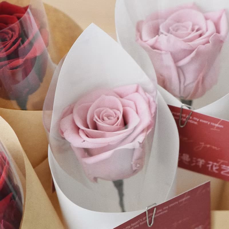 Ready Stock. Blush Pink Preserved Rose Bouquet – Classic Single Rose Gift