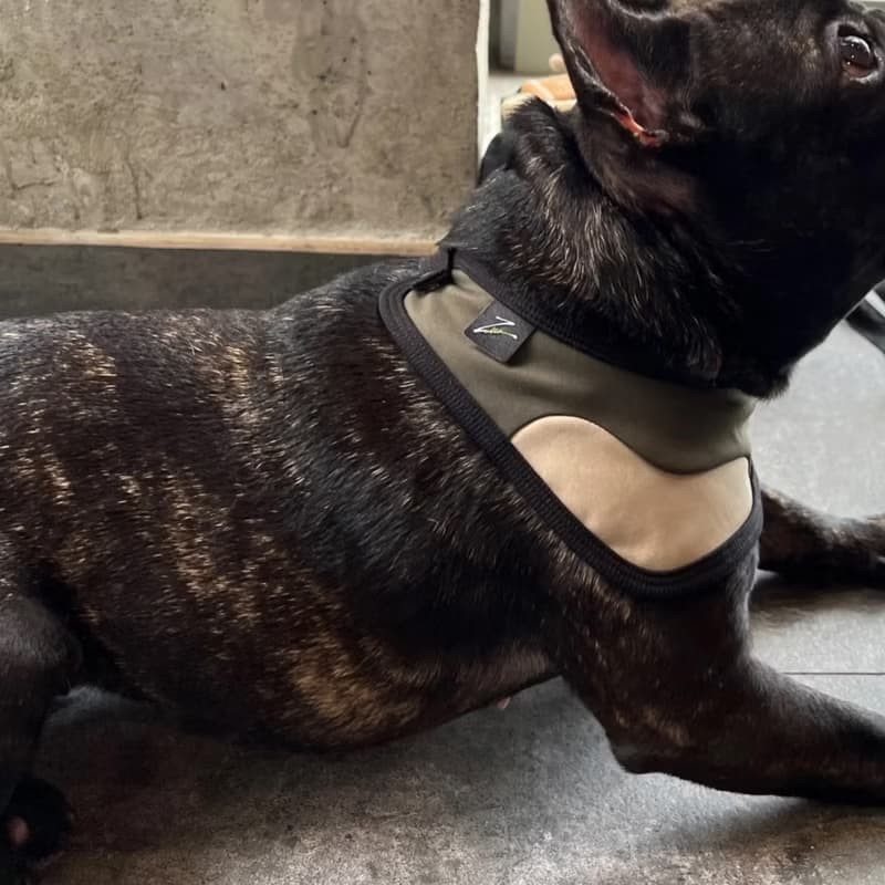 Zuuie 可調節寵物圍巾/頸圈 防水 - 軍綠色