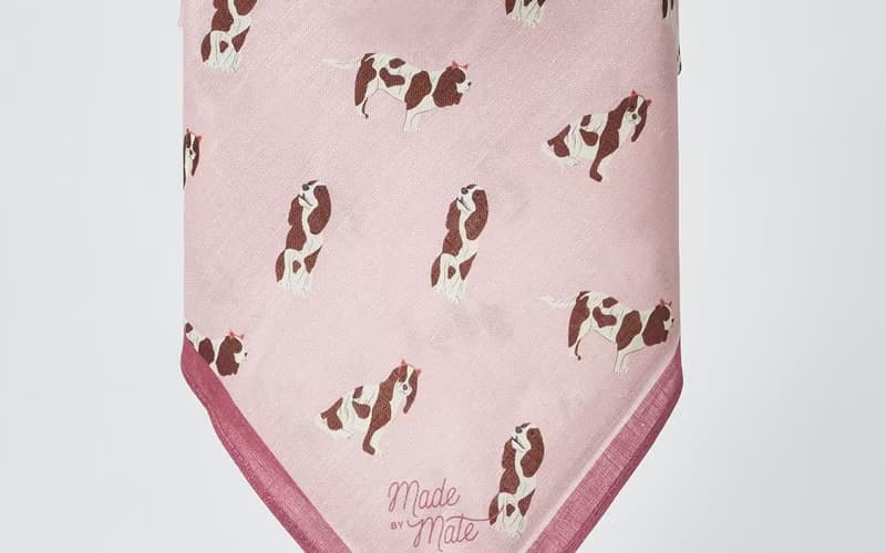 Spaniel, Cavalier Linen Wraps, Furoshiki, Scarf, Shawl, Headscarf