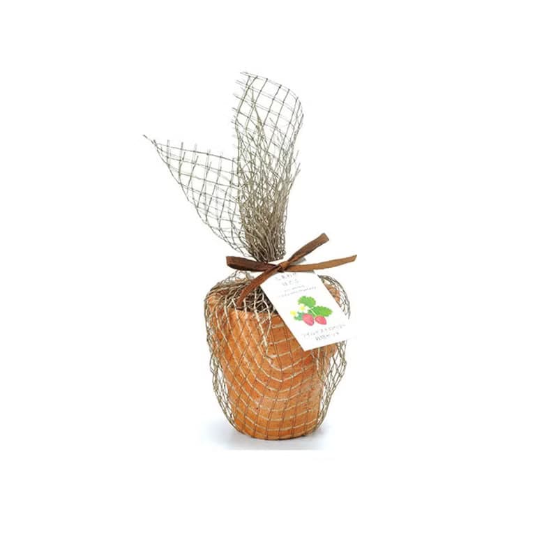 Terracotta Garden 陶盆雜貨植栽盆器 / 野草莓