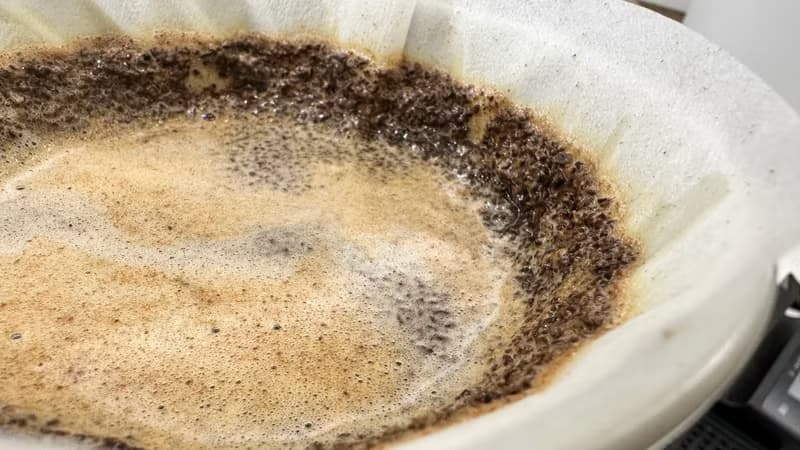 雨樹喫咖 | 中淺焙咖啡 | 10入試喝禮盒組