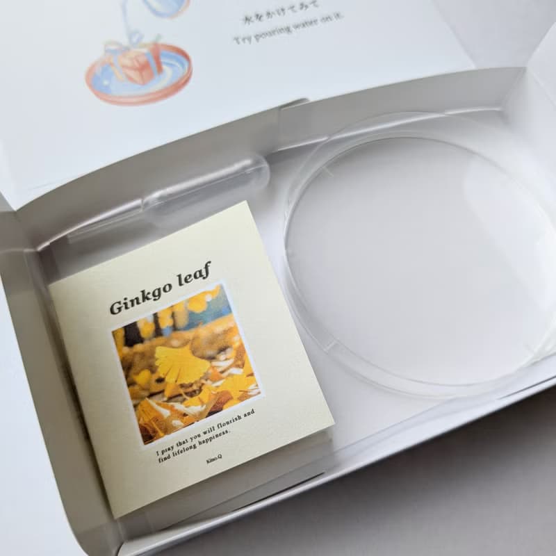 【預購】會溶解的書本禮物 / 項鍊 / 銀杏 / 不鏽鋼