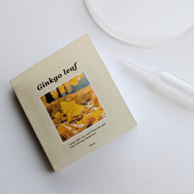 【預購】會溶解的書本禮物 / 項鍊 / 銀杏 / 不鏽鋼