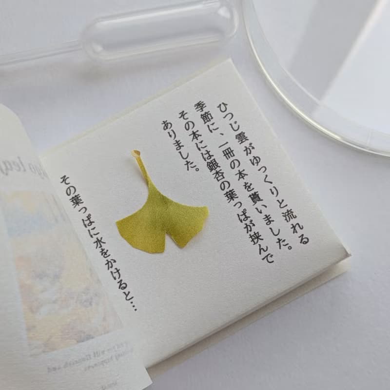 【預購】會溶解的書本禮物 / 項鍊 / 銀杏 / 不鏽鋼