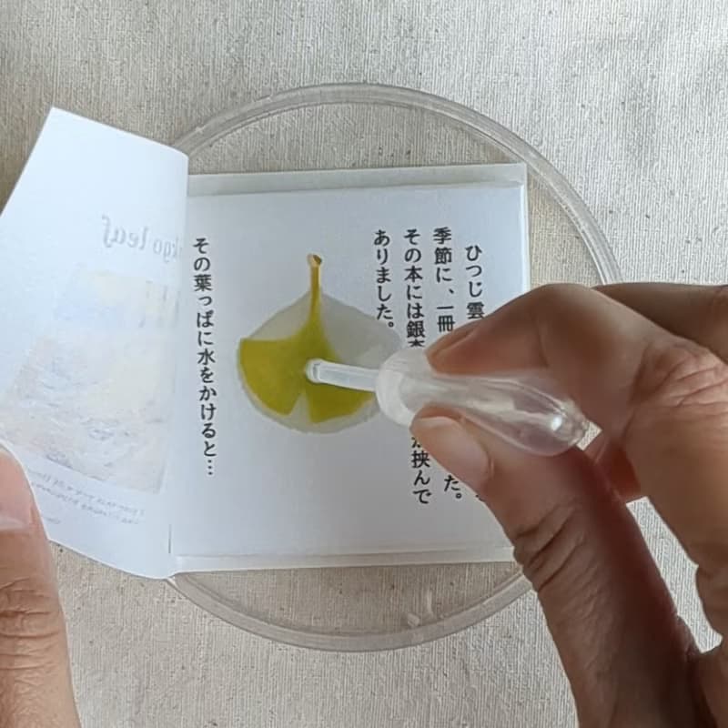 【預購】會溶解的書本禮物 / 項鍊 / 銀杏 / 不鏽鋼