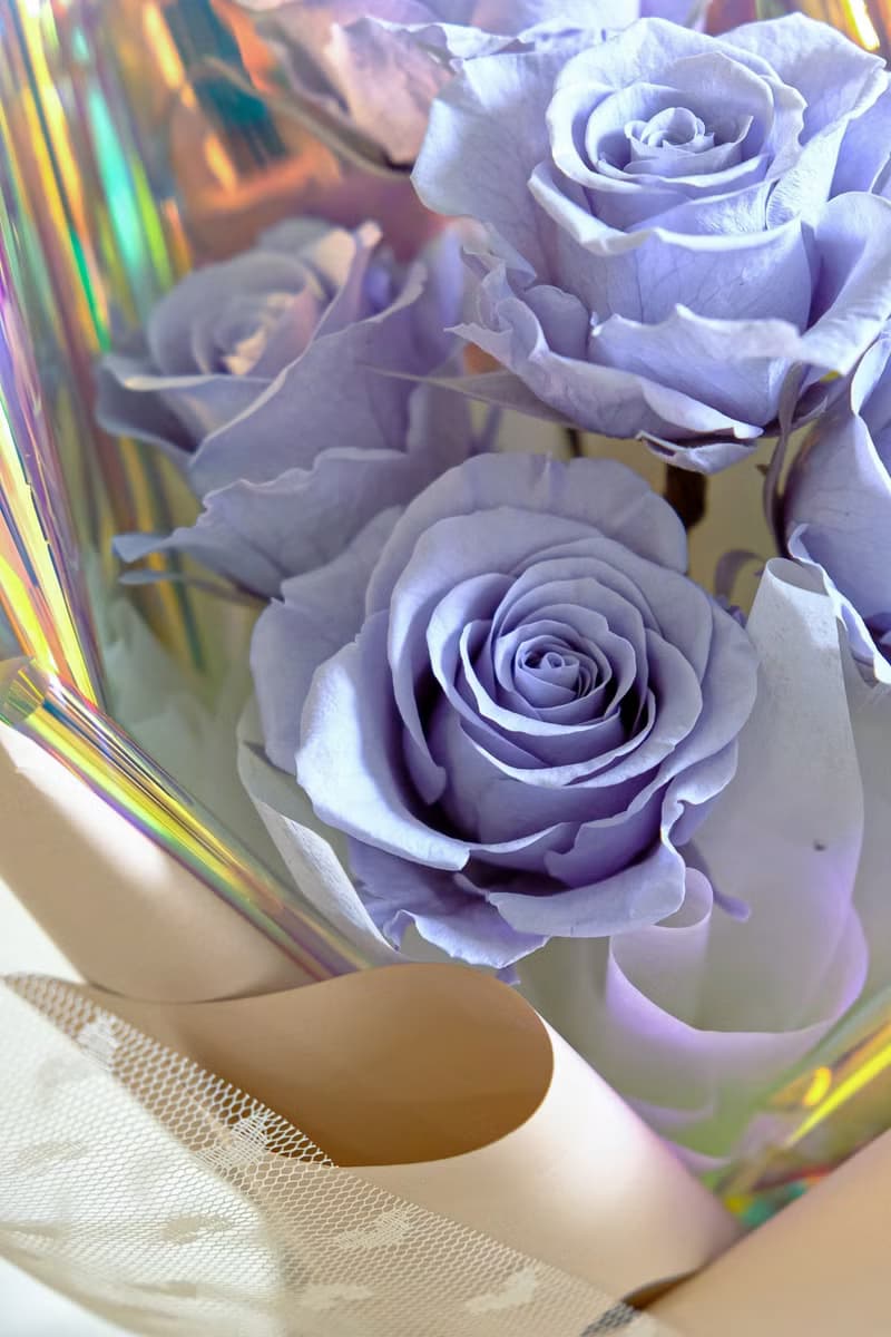 幻彩迷霧花束(5朵玫瑰花)