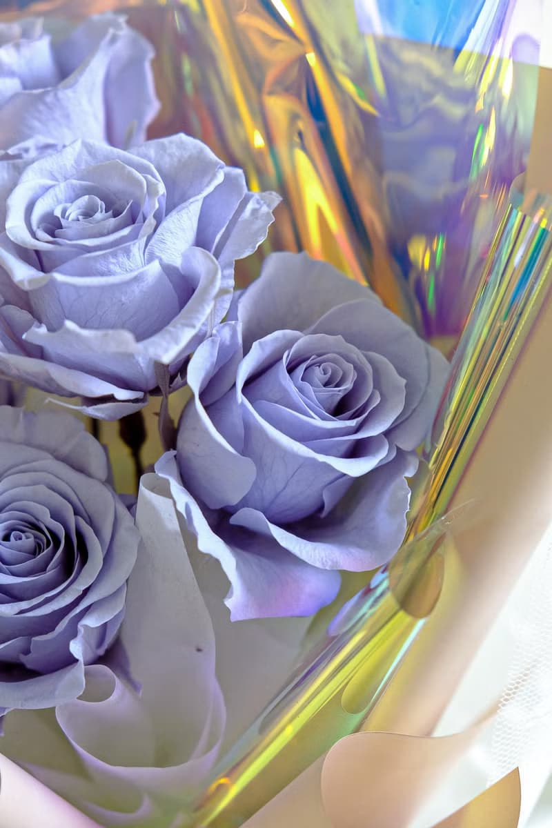 幻彩迷霧花束(5朵玫瑰花)