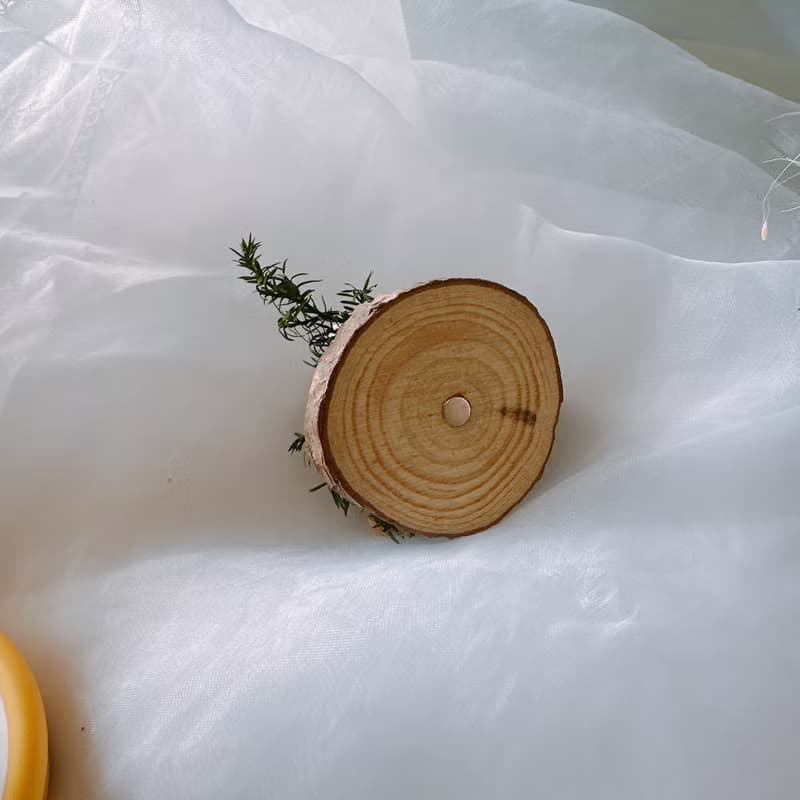 森林耶誕 乾燥花 磁鐵 小木片 留言夾 永生雪松 永生花 交換禮物