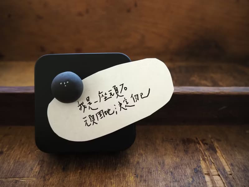 艸藥堂大磁丸  /magnet/磁鐵/文具