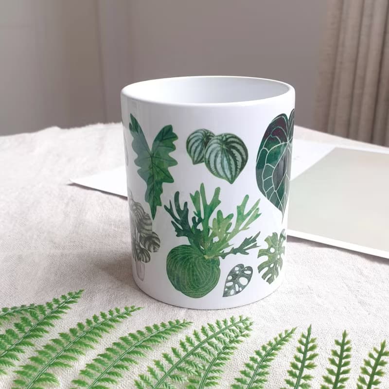 龜背芋 觀葉植物 馬克杯