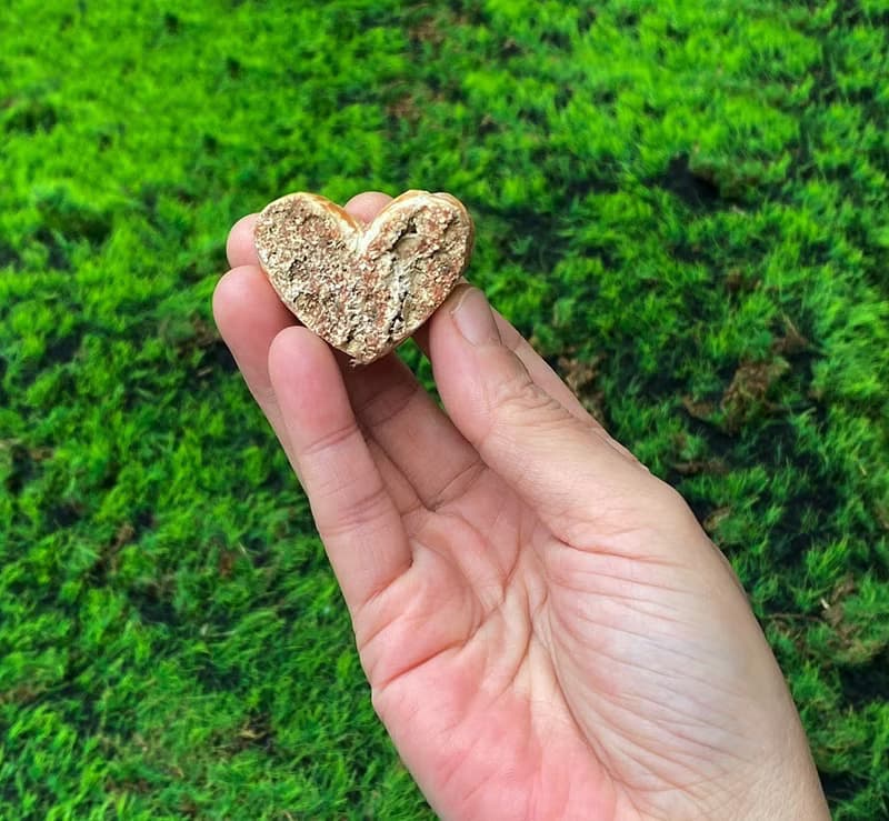 能量擺飾-天然浪漫沸石愛心能量原礦 吸收負能量 維持能量