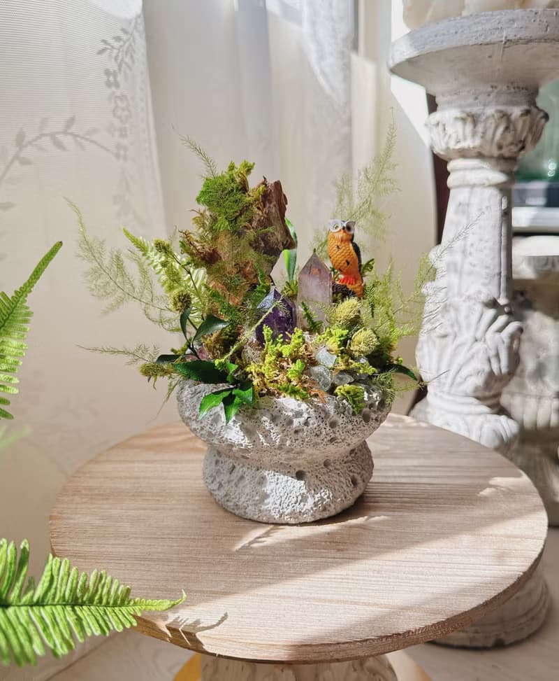 守望者 貓頭鷹。紫水晶不用澆水盆栽 永生葉材